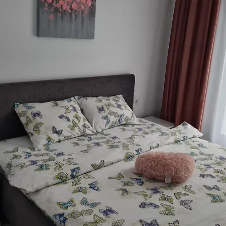 Apartament Lucian *
